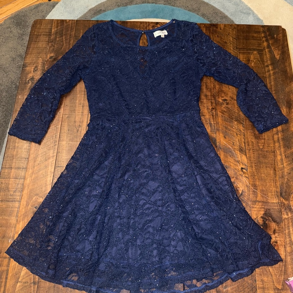 Elegant Navy Lace sparkle Dress